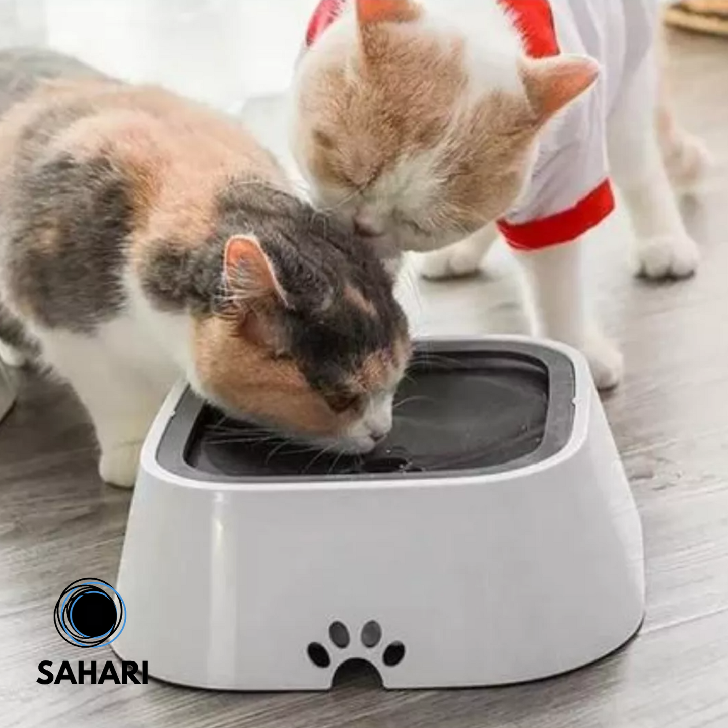SPLASHCLEAN™ - Bebedero Antisplash para Mascotas